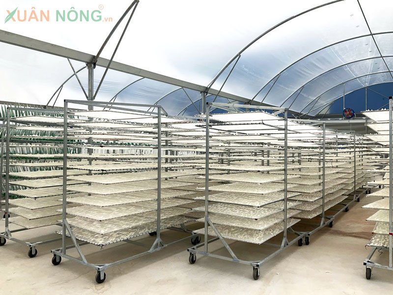 Nhà Kính Phơi Khô – Giải Pháp Đa Năng Nhà Kính Phơi Khô – Giải Pháp Đa Năng